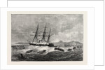 The Ashantee War: Landing the Forces for Sir Garnet Wolseley's Recent March on Dunquah, Anglo Ashanti War, Ghana by Anonymous