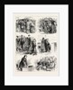 Mr. Disraeli's Visit to Glasgow by Anonymous