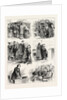 Mr. Disraeli's Visit to Glasgow by Anonymous