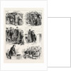 Mr. Disraeli's Visit to Glasgow by Anonymous