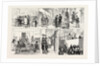 The French Crisis, Sketches at Versailles During the Recent Constitutional Debate, France by Anonymous