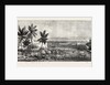 The Ashantee War, Reading the Queen's Letter at the Palaver of Kings at Accra, Ghana: General View of the Meeting by Anonymous