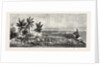The Ashantee War, Reading the Queen's Letter at the Palaver of Kings at Accra, Ghana: General View of the Meeting by Anonymous