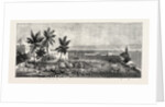 The Ashantee War, Reading the Queen's Letter at the Palaver of Kings at Accra, Ghana: General View of the Meeting by Anonymous