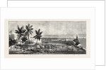 The Ashantee War, Reading the Queen's Letter at the Palaver of Kings at Accra, Ghana: General View of the Meeting by Anonymous