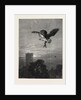 Catching an Owl by Anonymous