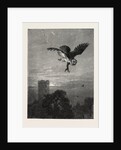 Catching an Owl by Anonymous