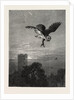 Catching an Owl by Anonymous