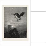 Catching an Owl by Anonymous