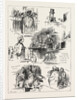 The Tichborne Case: Further Sketches in Court by Anonymous