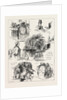 The Tichborne Case: Further Sketches in Court by Anonymous