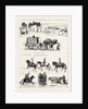 The Russian Expedition to Khiva by Anonymous