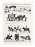 The Russian Expedition to Khiva by Anonymous