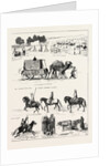 The Russian Expedition to Khiva by Anonymous