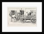 Market Cart, Wurzburg, Germany by Anonymous