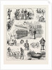 Thumbnail Jottings During a Coastguard Cruise, Bantry Bay, Ireland by Anonymous