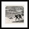 Tracking Rabbits Through the Snow by Anonymous