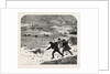 Tracking Rabbits Through the Snow by Anonymous