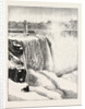 The Niagara Falls in Winter Time: Horse-Shoe Fall and Profile Rock by Anonymous