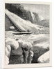 The Niagara Falls in Winter Time: Ice Mountain and American Fall by Anonymous