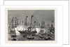 The Naval Review at Spithead: The Shah in the Royal Yacht Victoria and Albert Inspecting the Fleet by Anonymous