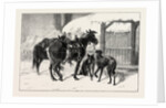 Coursing in Poland: Two Polish Hunters by Anonymous