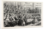 Women's Suffrage: The National Demonstration at St. James's Hall by Anonymous