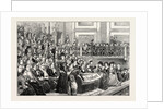 Women's Suffrage: The National Demonstration at St. James's Hall by Anonymous