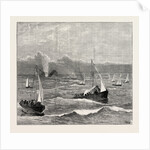 The Loss of the Cape Mail Steamship American: Foundering of the Vessel by Anonymous