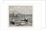 The Loss of the Cape Mail Steamship American: Foundering of the Vessel by Anonymous