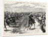 The Review Before Queen Victoria at Aldershot: A Cavalry Charge, Halt by Anonymous