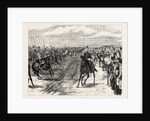 The Review Before Queen Victoria at Aldershot: A Cavalry Charge, Halt by Anonymous