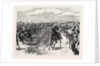 The Review Before Queen Victoria at Aldershot: A Cavalry Charge, Halt by Anonymous