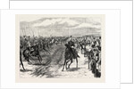 The Review Before Queen Victoria at Aldershot: A Cavalry Charge, Halt by Anonymous