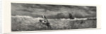 Vandenbergh's Sea Messenger for Conveying to the Shore News of a Maritime Disaster by Anonymous