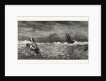Vandenbergh's Sea Messenger for Conveying to the Shore News of a Maritime Disaster by Anonymous