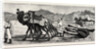 The Campaign in Afghanistan: A Camel's Funeral Procession by Anonymous
