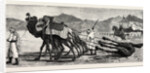 The Campaign in Afghanistan: A Camel's Funeral Procession by Anonymous