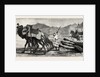 The Campaign in Afghanistan: A Camel's Funeral Procession by Anonymous