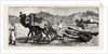 The Campaign in Afghanistan: A Camel's Funeral Procession by Anonymous
