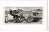 The Campaign in Afghanistan: A Camel's Funeral Procession by Anonymous