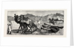 The Campaign in Afghanistan: A Camel's Funeral Procession by Anonymous