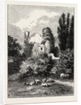 Remains of Ancient Castle, Hawarden Park, Wales by Anonymous