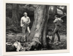 A Holiday Task at Hawarden, 1877, Gladstone Preparing to Fell a Tree by Anonymous