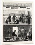 The Relief of Irish Distress, Visiting Tour of H.R.H. The Duke of Edinburgh by Anonymous