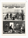 The Relief of Irish Distress, Visiting Tour of H.R.H. The Duke of Edinburgh by Anonymous