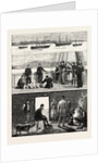 The Relief of Irish Distress, Visiting Tour of H.R.H. The Duke of Edinburgh by Anonymous