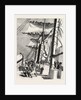 The Livingstone Expedition in Africa: H.M.S. Lynx, Sent for the Relief of the Expedition, Taking in Sail During a Squall by Anonymous
