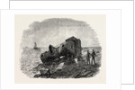 The Railway Accident at Granton, Near Edinburgh, Scotland, Great Britain, UK by Anonymous