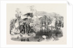 The New Lake, Kew Gardens, London by Anonymous